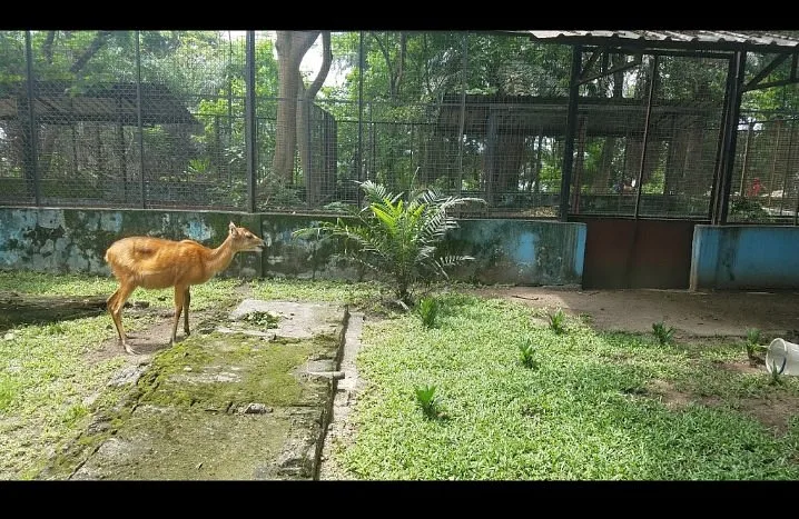 Port Harcourt Zoo