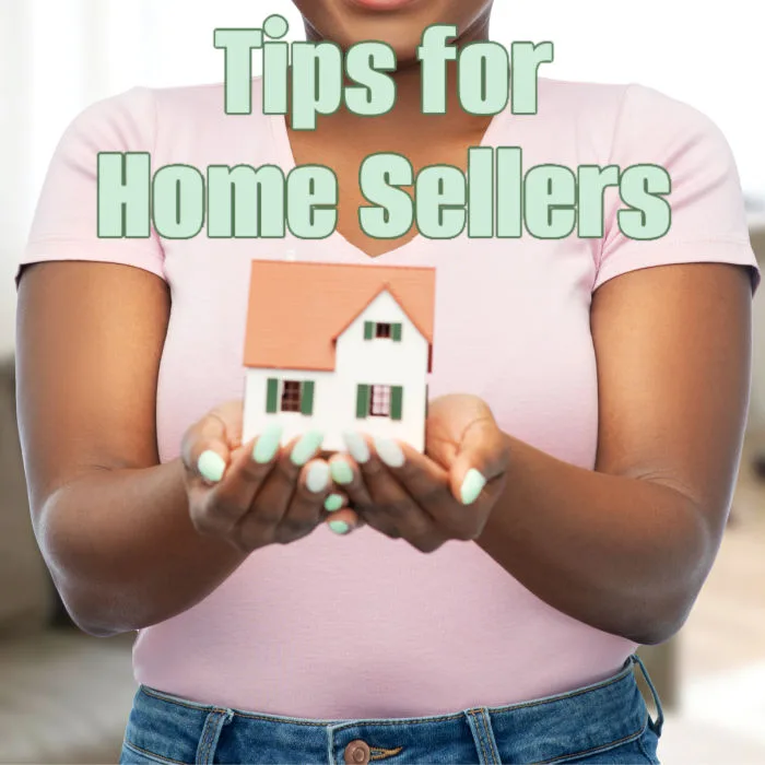 Tips-for-Sellers-and-Landlords-Working-with-Estate-Agents