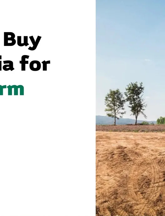 Land To Buy in Nigeria for Long Term Profit