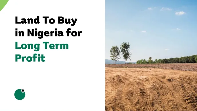 Land To Buy in Nigeria for Long Term Profit